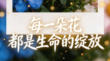 人生哲理名言100句，每日一句正能量励志语录