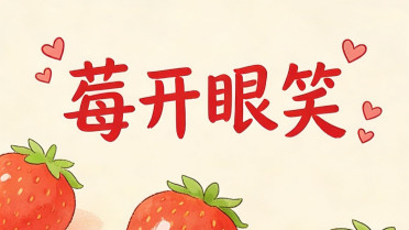 经典句子句句精辟，坚强熬过坎坷的女人的说说