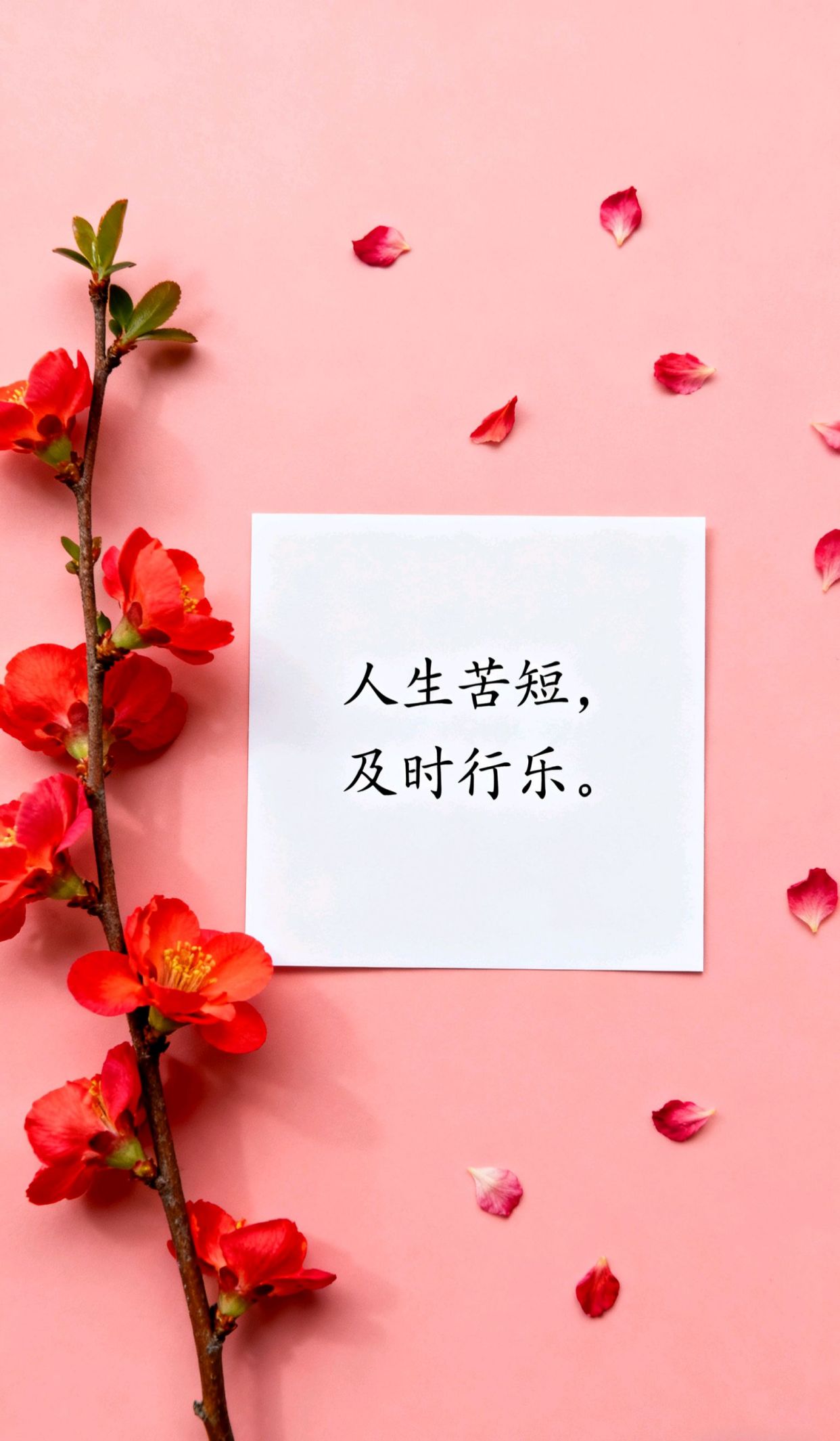 5言绝句开心愉悦，高情商晒幸福