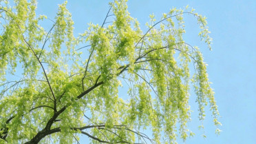 北京之行适合发圈的话，简短心愿八个字