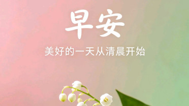 精美句子摘抄，点赞词大全