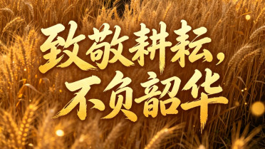 享受生活最佳配句，特别幽默高情商句子