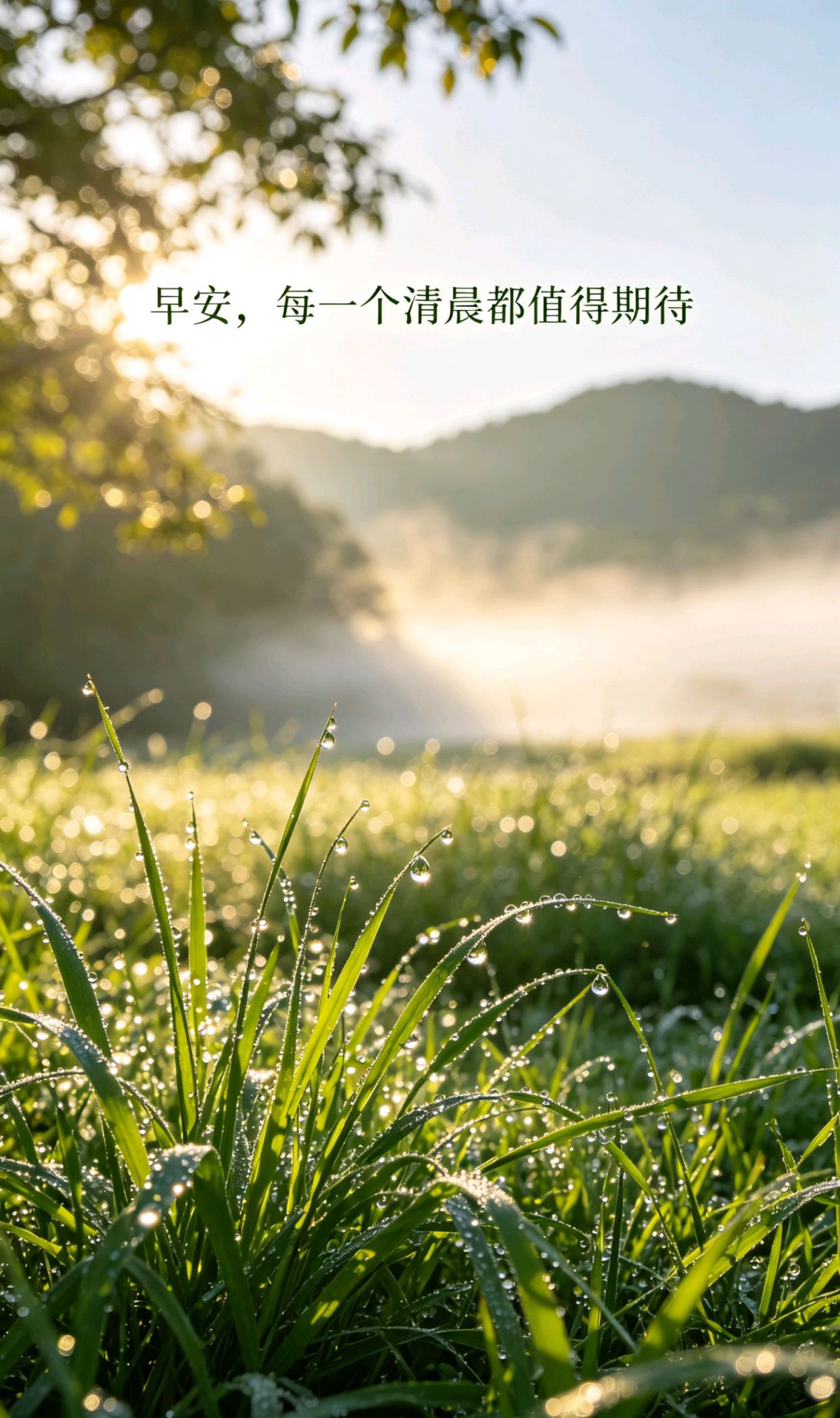 带心的浪漫成语，女人心不踏实预示着什么