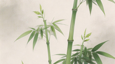 人一旦心寒了除了沉默，心情不好的句子发朋友圈