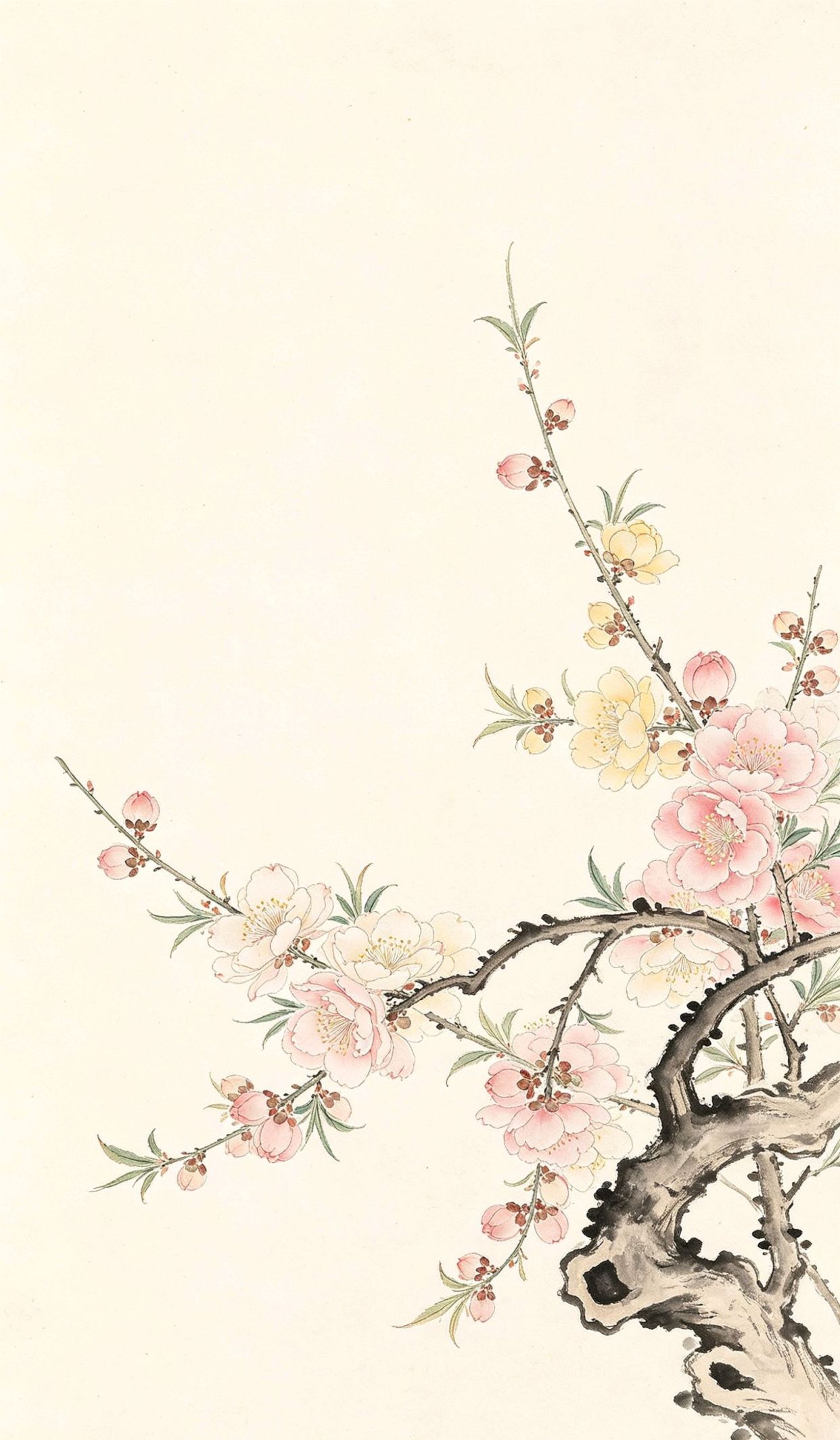 作文开头万能金句，春节作文300字三年级
