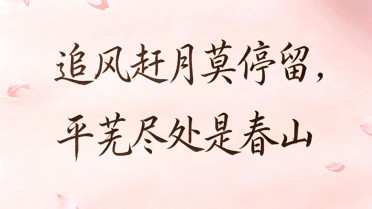 一边内耗一边自愈文案,高质量朋友圈文案配图