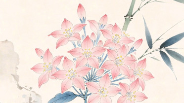 今日国际新闻,健康祝福语